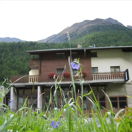 Pauli Saas-Grund